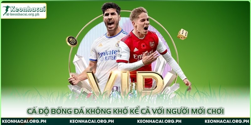 Cá độ bóng đá không khó kể cả với người mới chơi