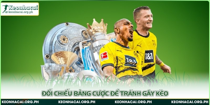 Đối chiếu bảng cược để tránh gãy kèo