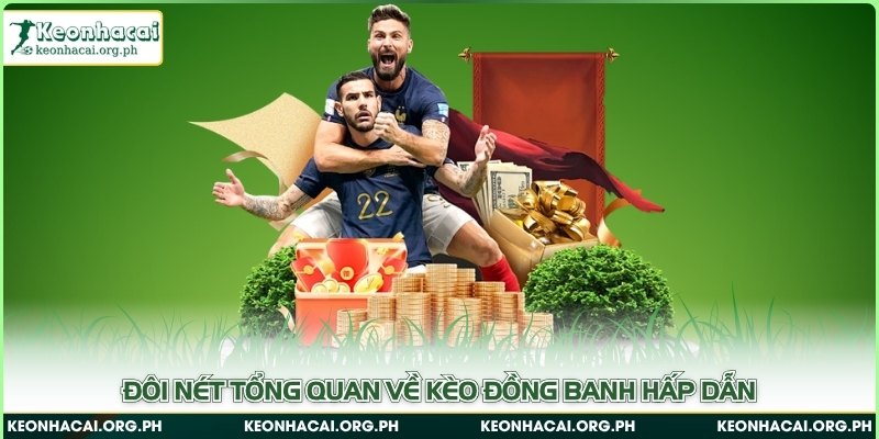 Kèo Đồng Banh - Cách Đọc Và Chiến Thuật Soi Kèo Cho Newbie