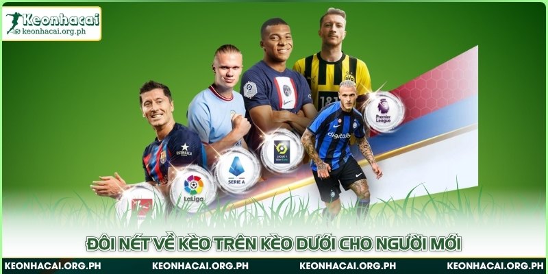 Đôi nét về kèo trên kèo dưới cho người mới