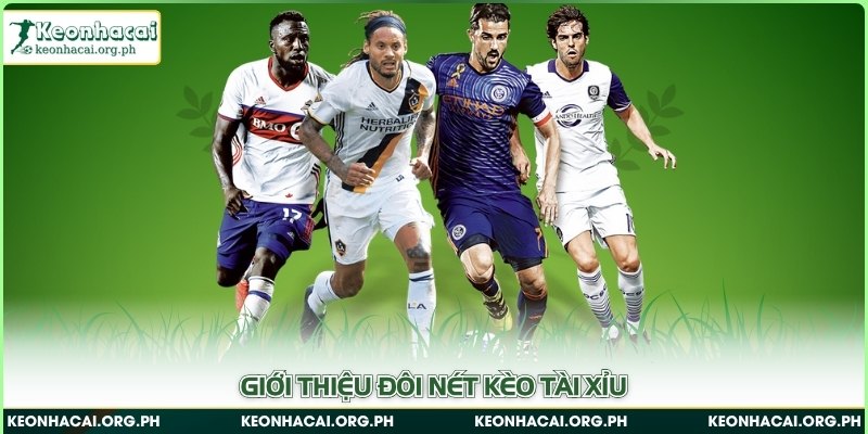 Kèo Tài Xỉu - Giải Mã Cách Đọc Kèo & Tips Cá Cược Hay