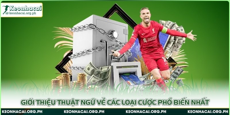 Giới thiệu thuật ngữ về các loại cược phổ biến nhất