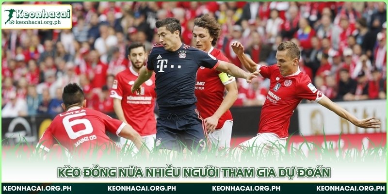 Kèo Đồng Nửa Và Hướng Dẫn Bắt Chuẩn Xác Cho Người Mới Chơi