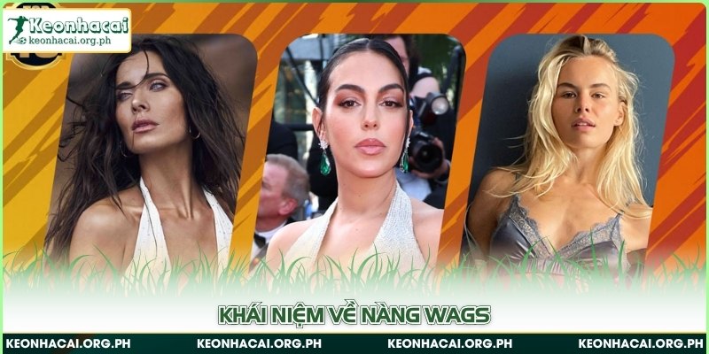 Khái niệm về nàng WAGs 