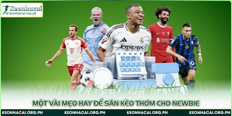 Một vài mẹo hay để săn kèo thơm cho newbie