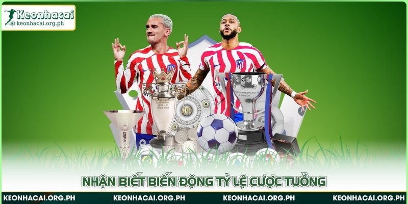 Nhận biết biến động tỷ lệ cược tuồng