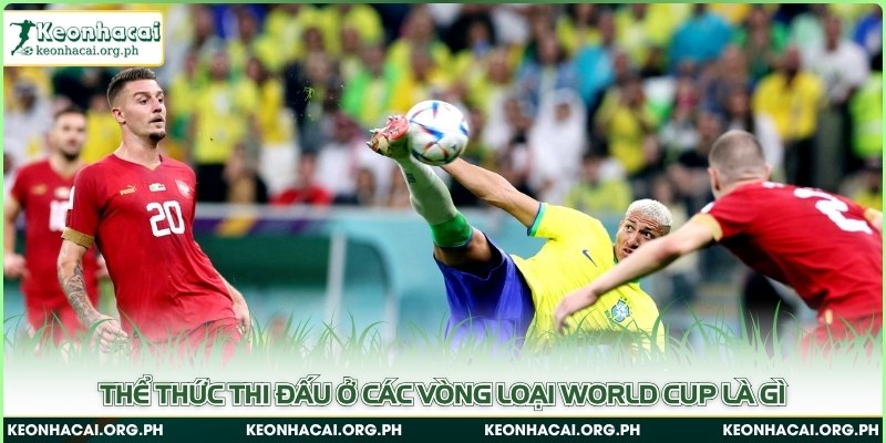 Thể thức thi đấu ở các vòng loại World Cup là gì