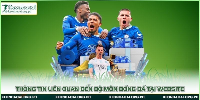 Thông tin liên quan đến bộ môn bóng đá tại website