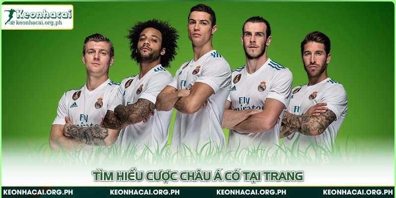 Tìm hiểu cược châu Á có tại trang