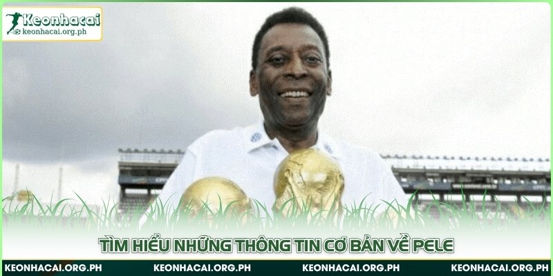 Tìm hiểu những thông tin cơ bản về Pele