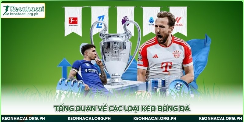 Tổng quan về các loại kèo bóng đá
