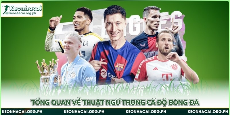 Thuật Ngữ Cá Độ Bóng Đá - Giới Thiệu Nhanh Cho Người Mới